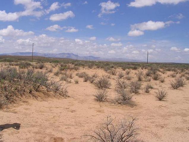 West view toward the Caballo Range and Timber Mountain