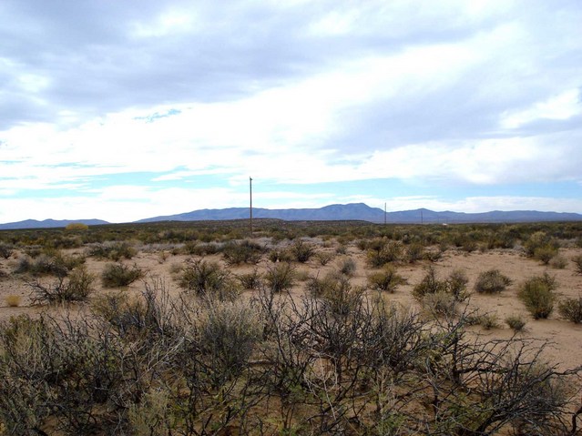 View from the confluence