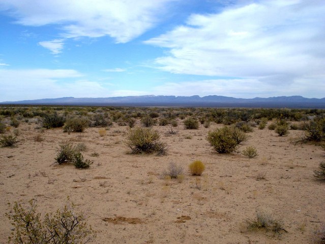 View from the confluence