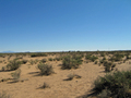 #2: View South
