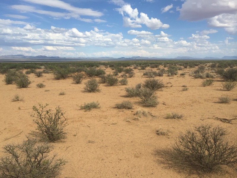 View to the east from the confluence.