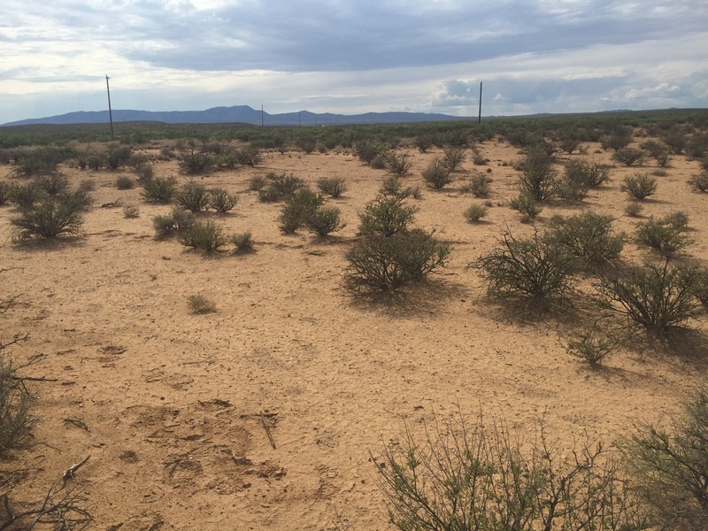 View to the west from the confluence.