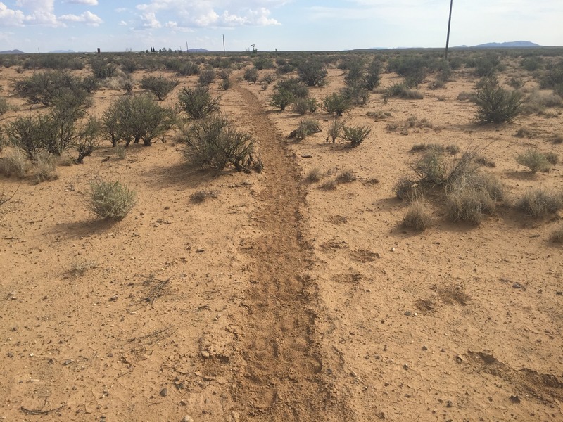 Cattle trail 100 meters south of the confluence.