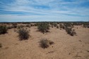 #3: View South (towards a nearby farmhouse)