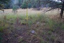 #5: The confluence point lies in grassland, near a creek bed