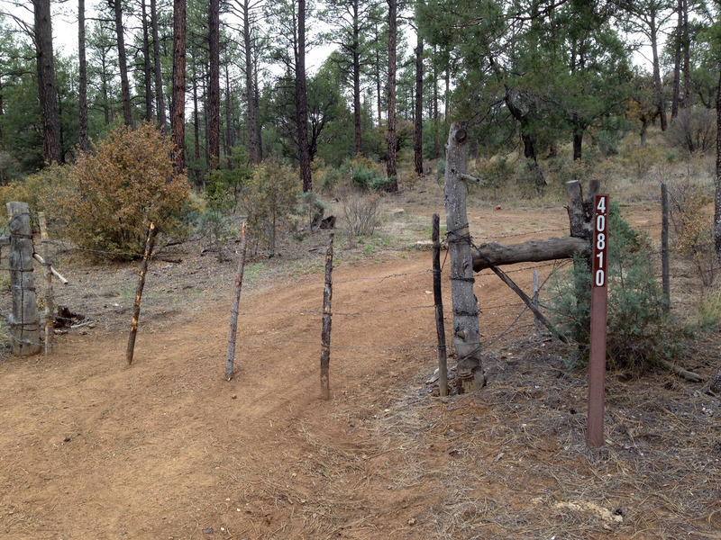 Forest Service Road to Confluence