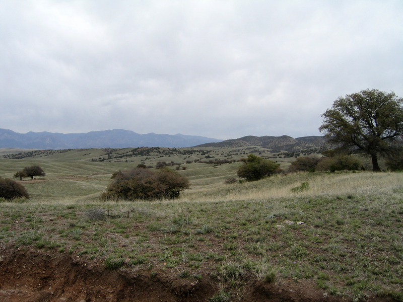 View along Brushy Mountain Road