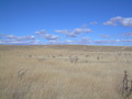 #2: CP Looking north