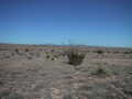 #2: Looking NE towards Gallinas Peak and Rough Mountain.