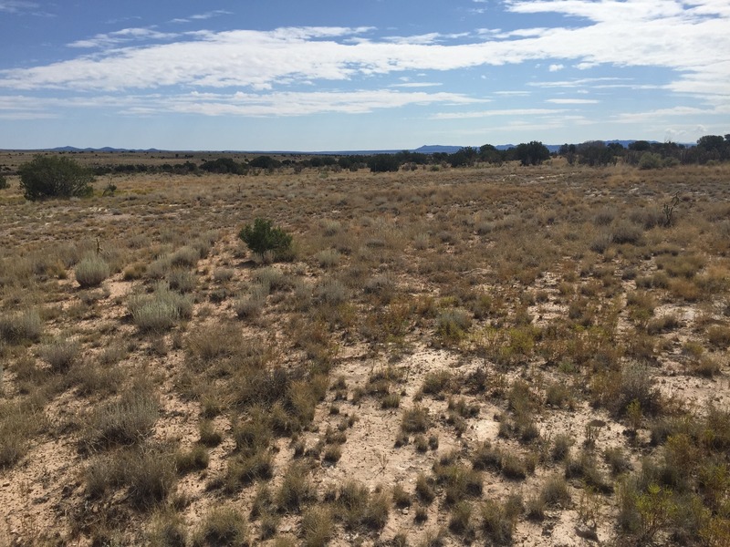 View to the east from the confluence.