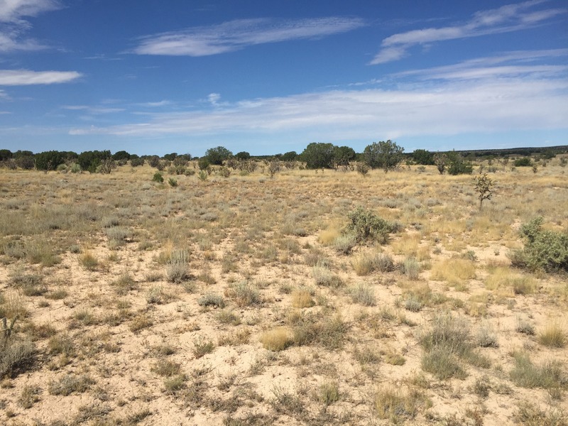 View to the west from the confluence.