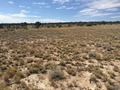 #5: View to the south from the confluence.