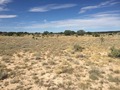 #6: View to the west from the confluence.