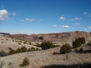 #1: Box Canyon, view to the NE from the confluence