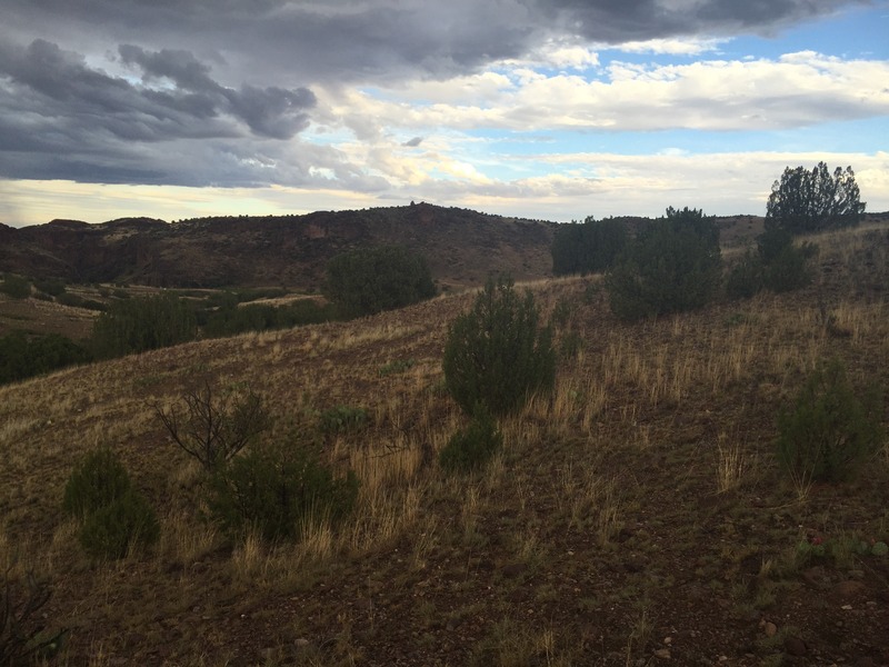 View to the east from the confluence.