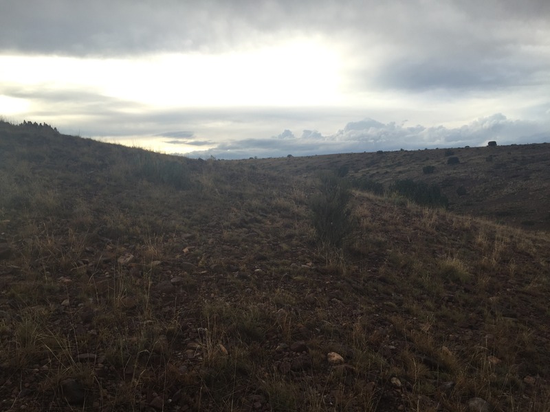 View to the west from the confluence.