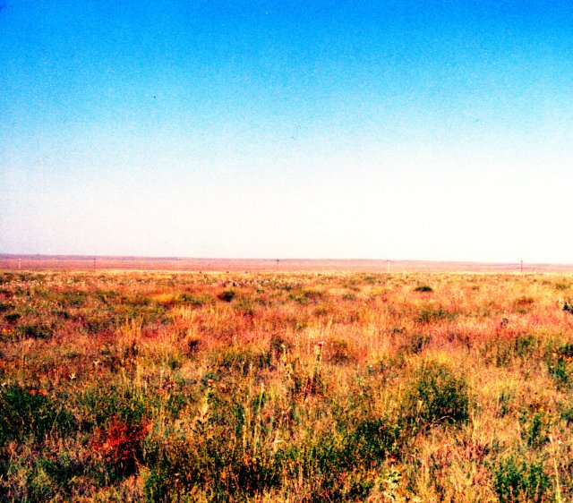 North from the confluence.