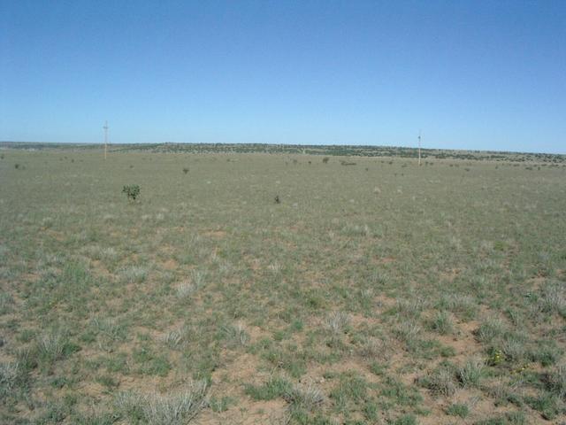 Looking north from N35 W105