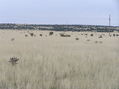 #4: View to the east from the confluence.