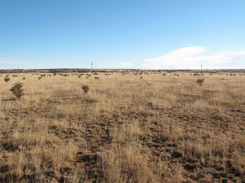 Looking East towards Hwy 84