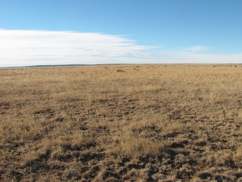 South - Interstate 40 passes in the distance