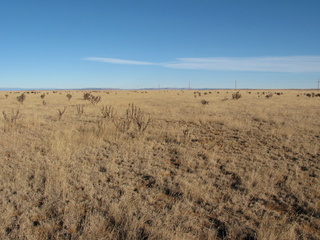 #1: North - cows can be seen in the distance on the left