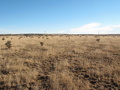 #2: Looking East towards Hwy 84