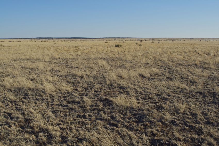 View South (towards I-40)