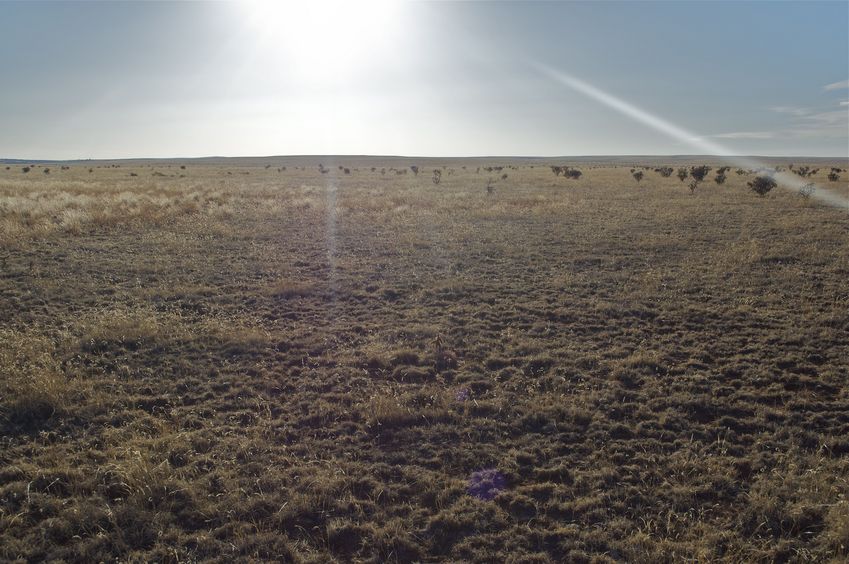 View West