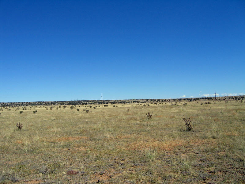 View East