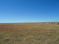 #4: View West