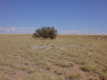 #2: Dry & flat, but no cows.