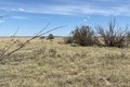 Visit #11: [24-May-20]
