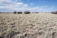 #2: View North (towards Interstate 40)