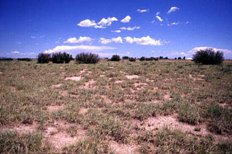 #1: Looking north to Interstate 40. Note the red truck on left.