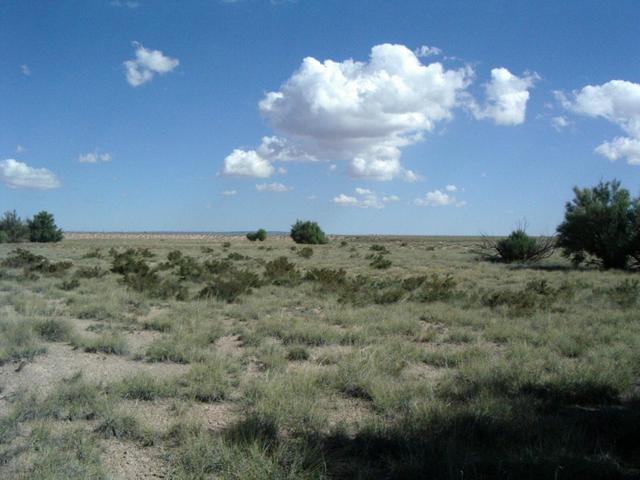 Looking East from N35 W106