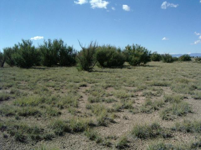 Looking West from N35 W106