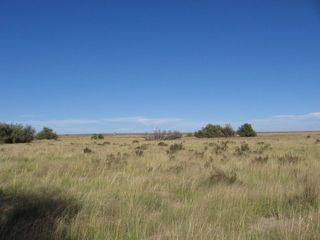 #1: Facing North (I-40 traffic visible)