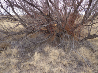 #1: View of the confluence