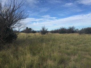 #1: Looking southwest at the confluence point, in the foreground on the left.