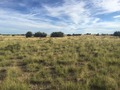 #4: View to the north from the confluence. 