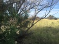 #6: View to the south from the confluence point.