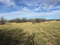 #7: View to the west from the confluence.