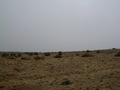 #4: CP Looking South