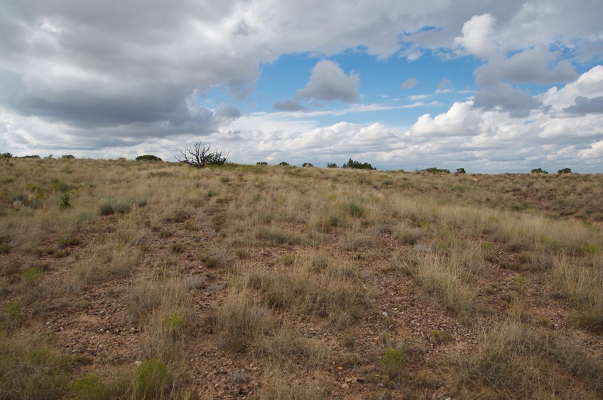 View North (towards I-40, beyond this hill)