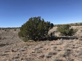 #3: Looking west from near the confluence point.