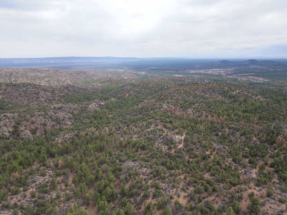 View South, from 120m above the point