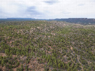 #8: View North, from 120m above the point