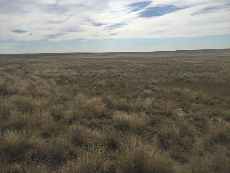 View to the east from the confluence.