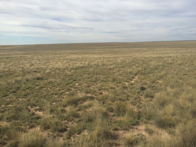 View to the south from the confluence.